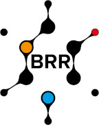 Biomolecular Research Reports logo